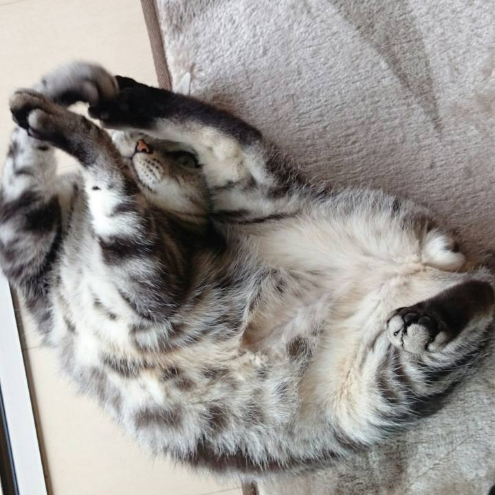 4754a648 da53 45aa 8c07 c0552eaee160