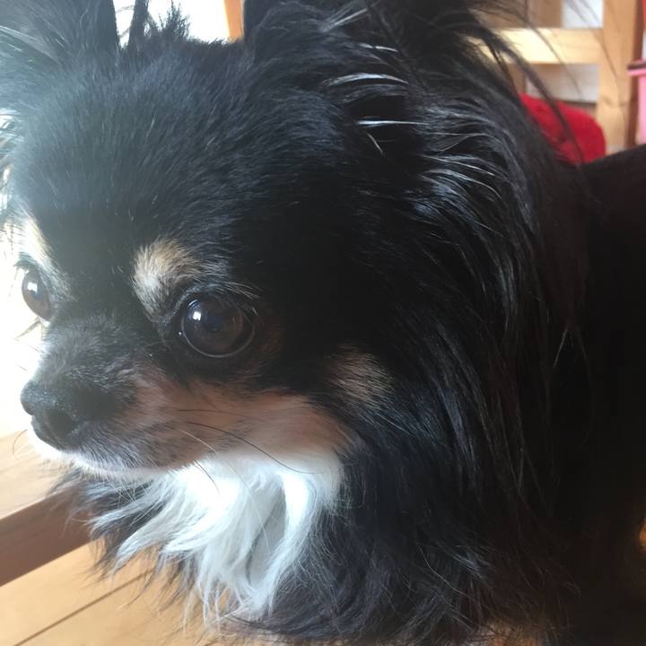 4755770d f7c7 4250 bc16 570840c444ba