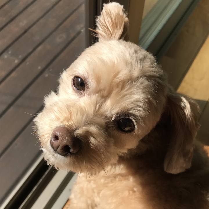 4755b974 8d77 49db b418 862e44d86adb