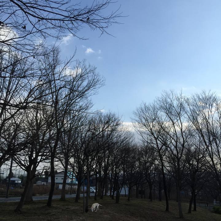 475676b9 6586 468d aa44 a1feb97b9b91