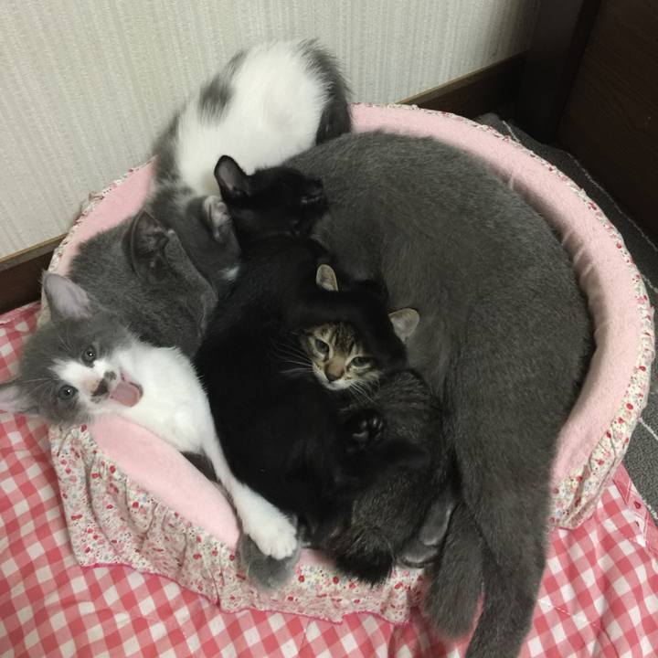 4756fd33 33f4 460f b392 1bbb42e7892b