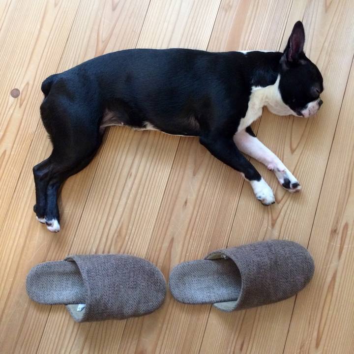 4757effc 6f80 4e7f a709 0055b0e59dbc