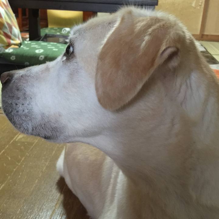 475914db 1221 47ac 8ac4 f1bc28eea84f