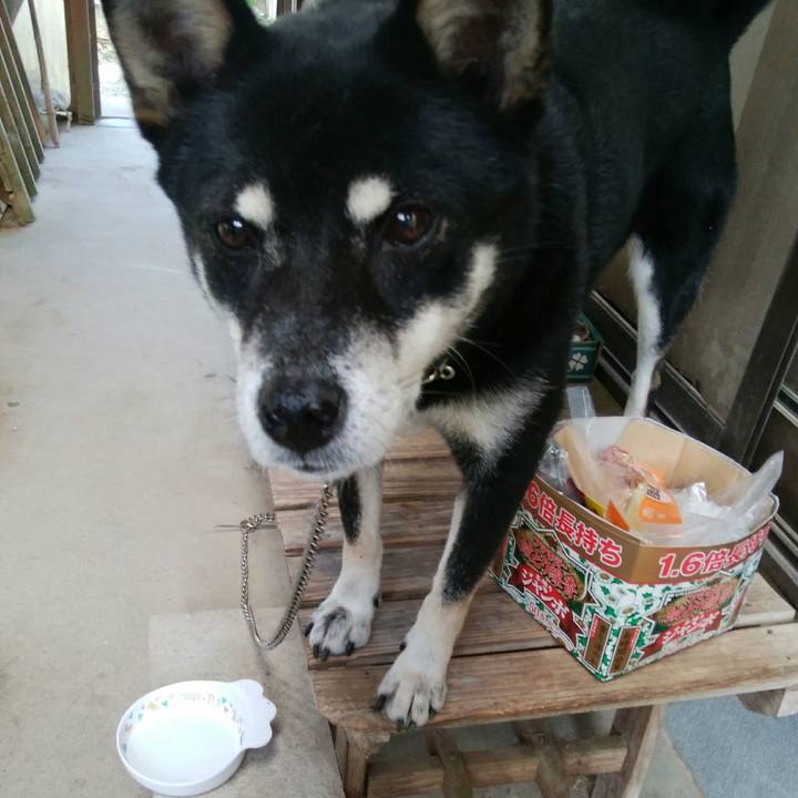 4759cb39 dc01 4035 9a3b 35ae70ba334f