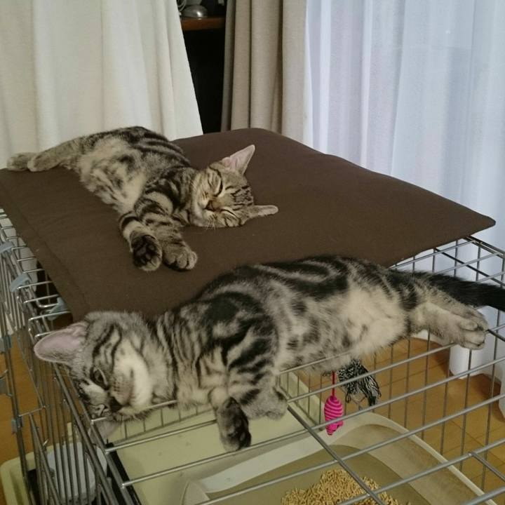 4759e87b 69bf 4150 8551 a96401724550