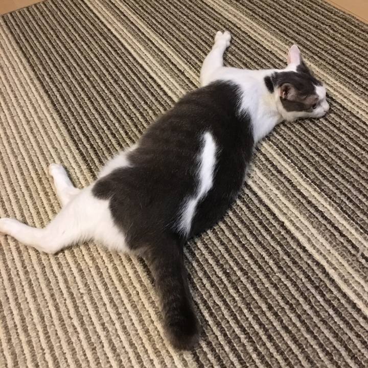 475a4f49 fae7 44a8 9b83 3cf9b3179a93