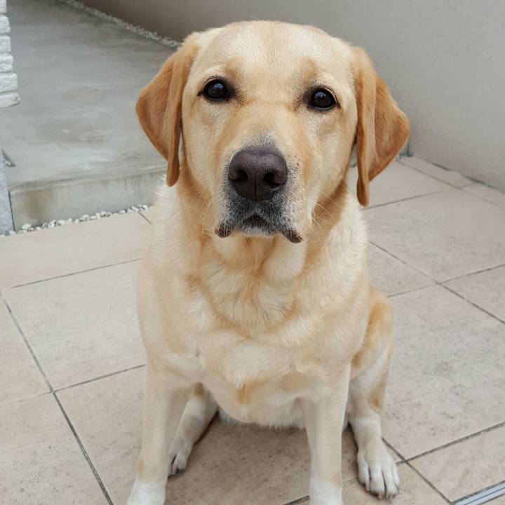 475aa01f fb5d 42d6 9872 03c761c14134