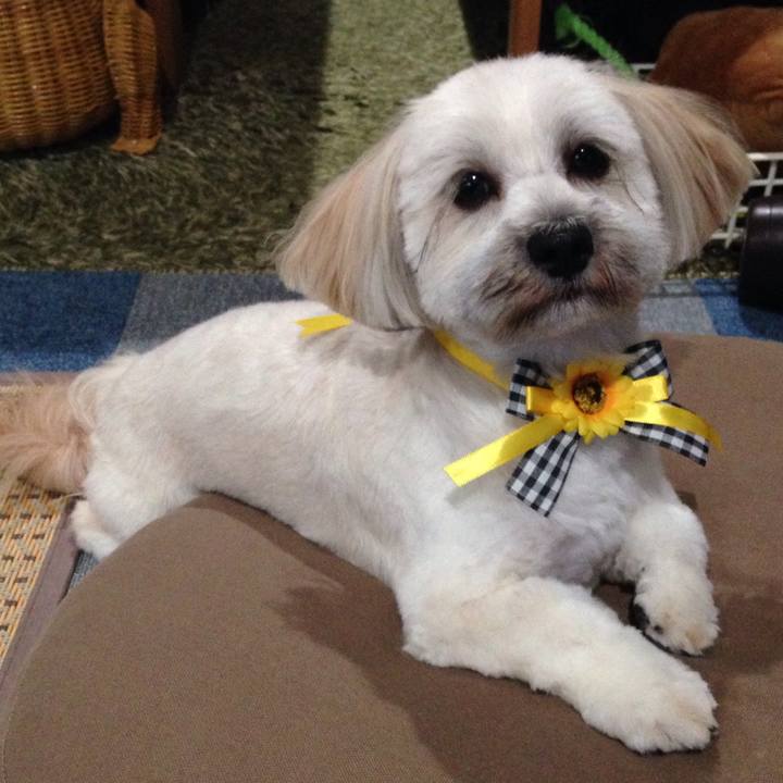 475ab873 2a98 4209 800c b782a843abab