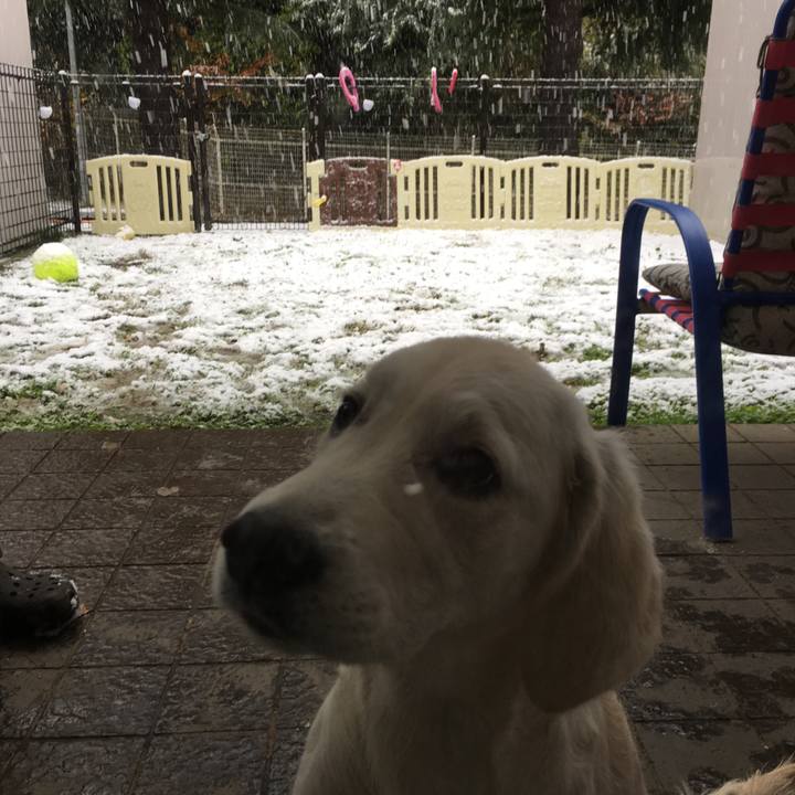 475abdfb dda4 44b0 a357 33d5597304ce