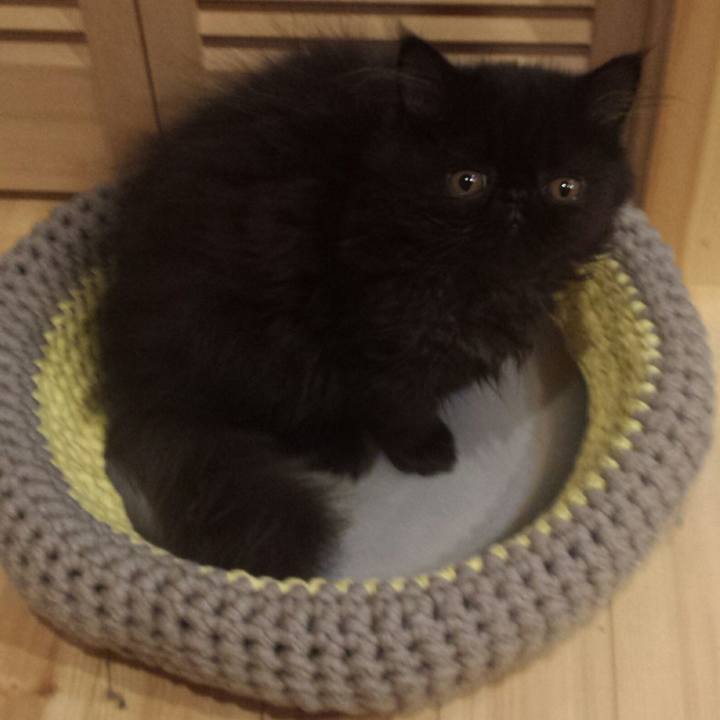 475ba24b 079e 4a9a 9604 7632fa260830