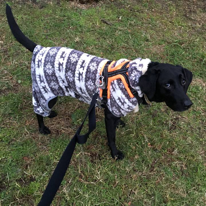 475c4645 a233 42bd 9592 9db8ec640d8d