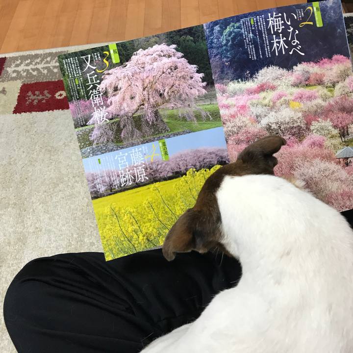 475c78a0 b361 4bfb 8dfa fc446f8d3adb