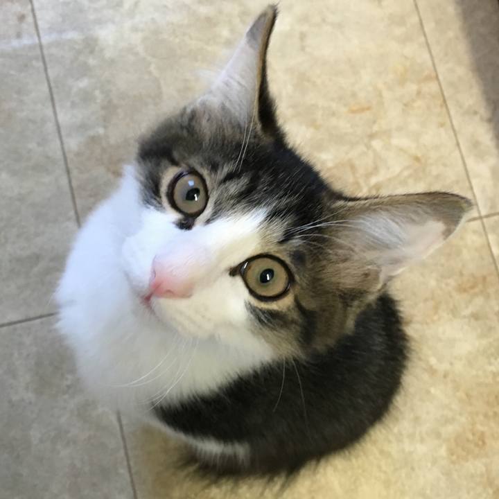 475cd687 4283 4ea9 b3e4 217fe2f1c97b