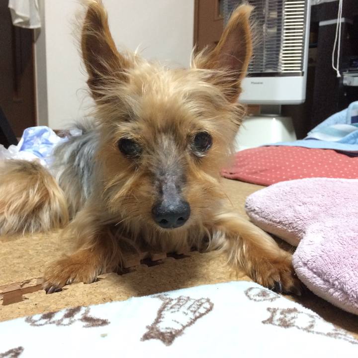 475d02a4 835f 429a af66 548d9c5333bf