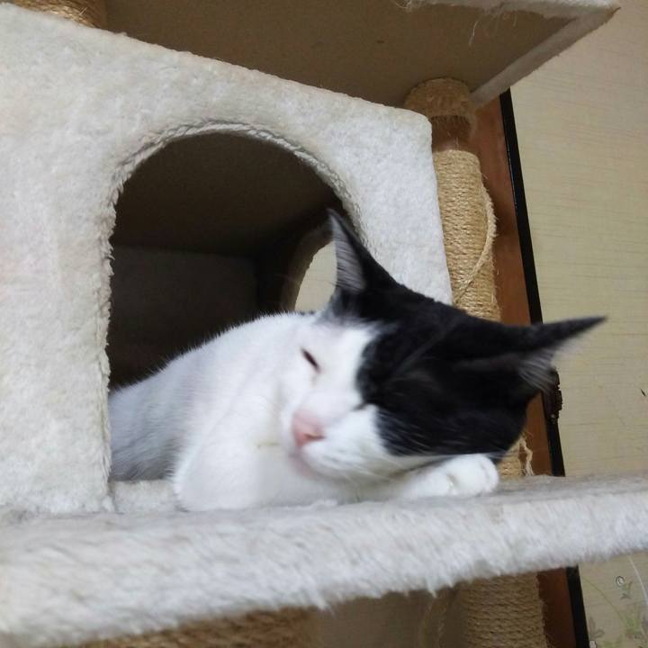 475d66cc f560 4251 b5cf 2b7de4bc1b62