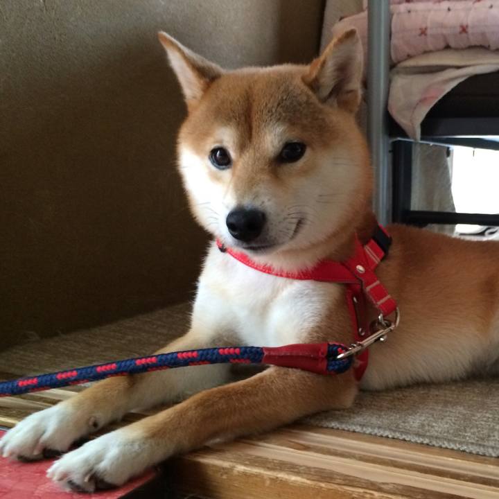 475df787 2937 4897 b8fe f177c9c44786