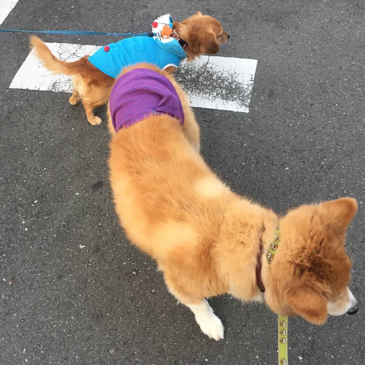 475ef2ca b27a 4263 8519 0498266900a1