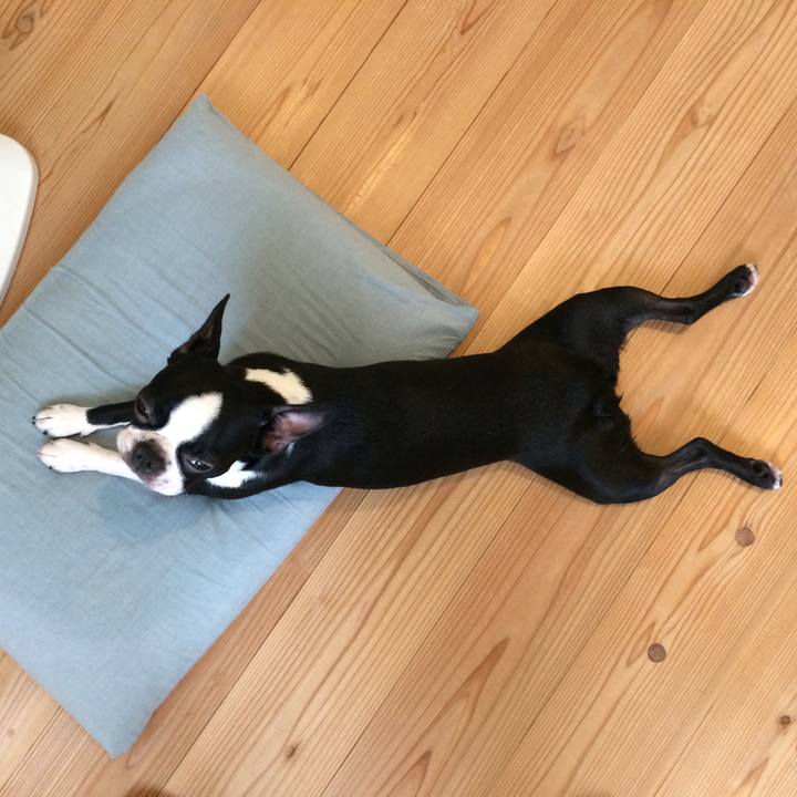 475f6620 e99b 41ff 8b03 96be45009421