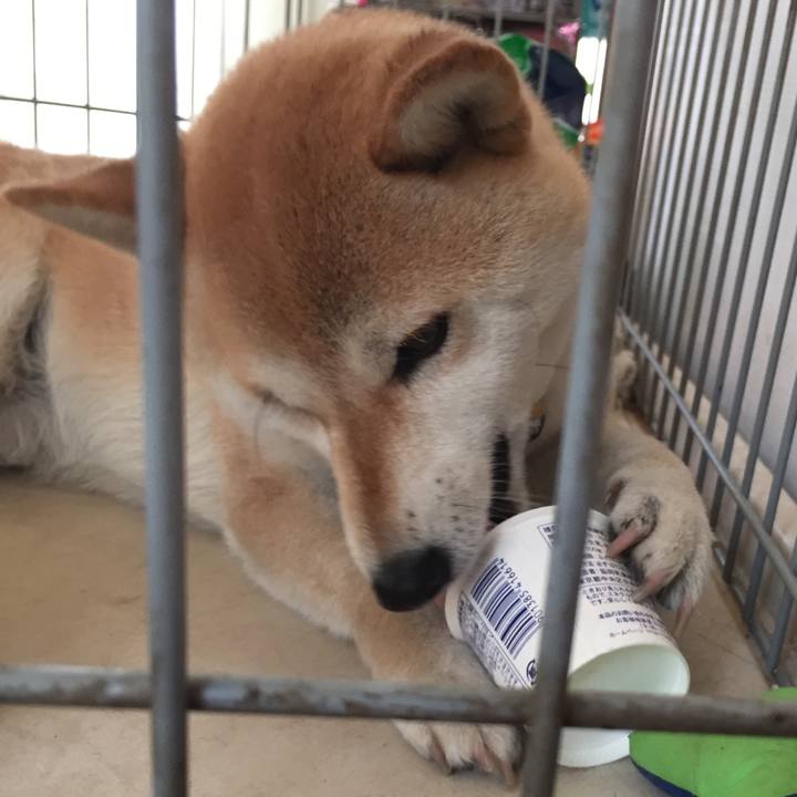 475fdf65 35a0 47bc 90d0 60dc61a3ac00