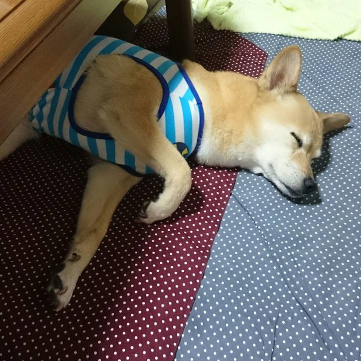 4760690b f258 4b48 9696 c6a119a74714