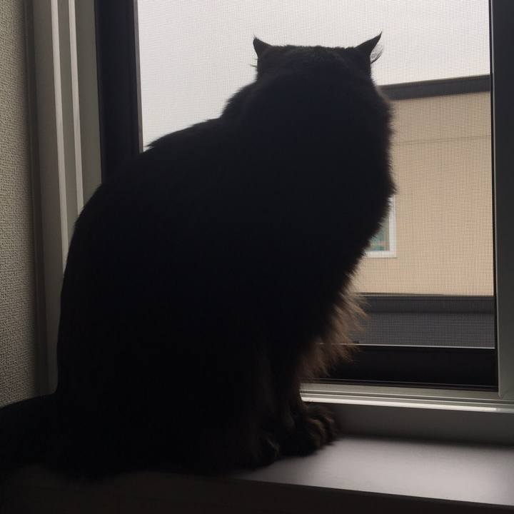 476369d1 63d0 400f bf93 86c336ccf23d