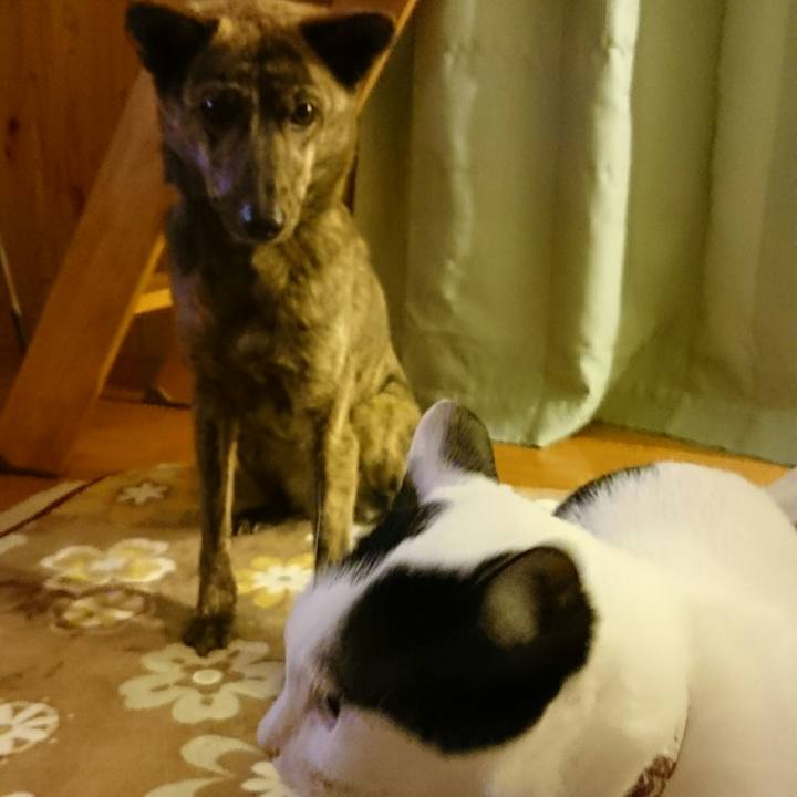 4763b305 5dee 4ead 9c38 8cc142de7b49