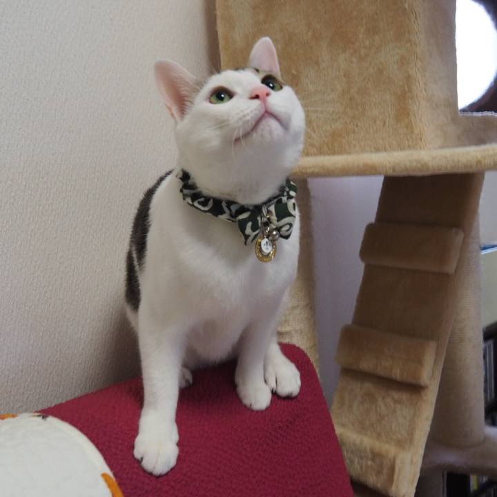 4764700d 2499 4435 8bdc 51ec0eb6b7f6