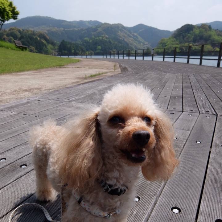 4765bd77 6acb 419d 865b b2ea4255a316