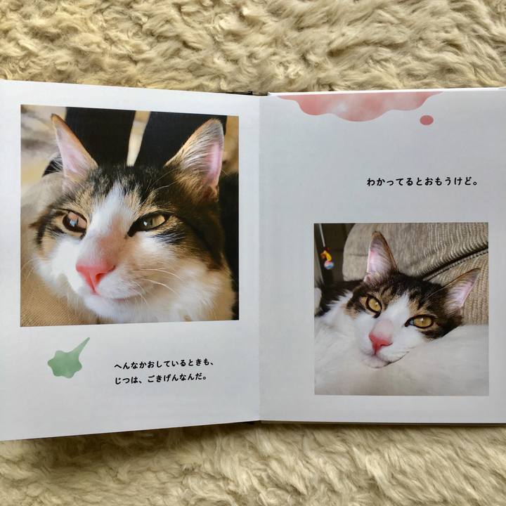 4765c8bf 3747 4b3b 9cdb e101acf462dc