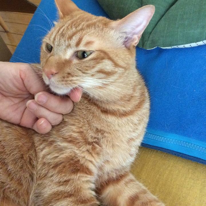 4765e69a 4de4 457d b635 f280c4823f79