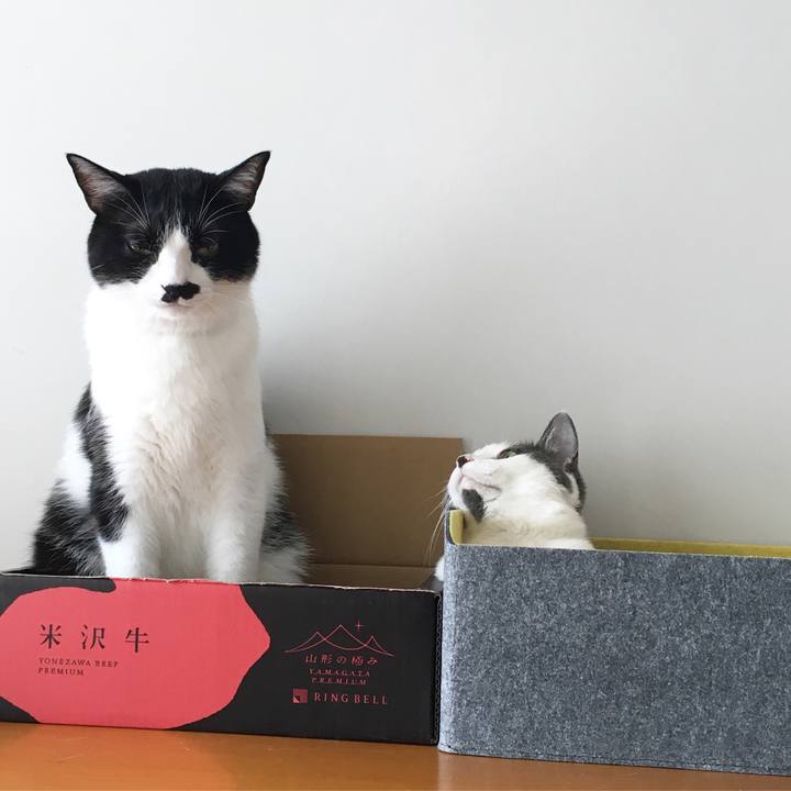 4766028b e066 42d8 8219 7e38e07c3fe2