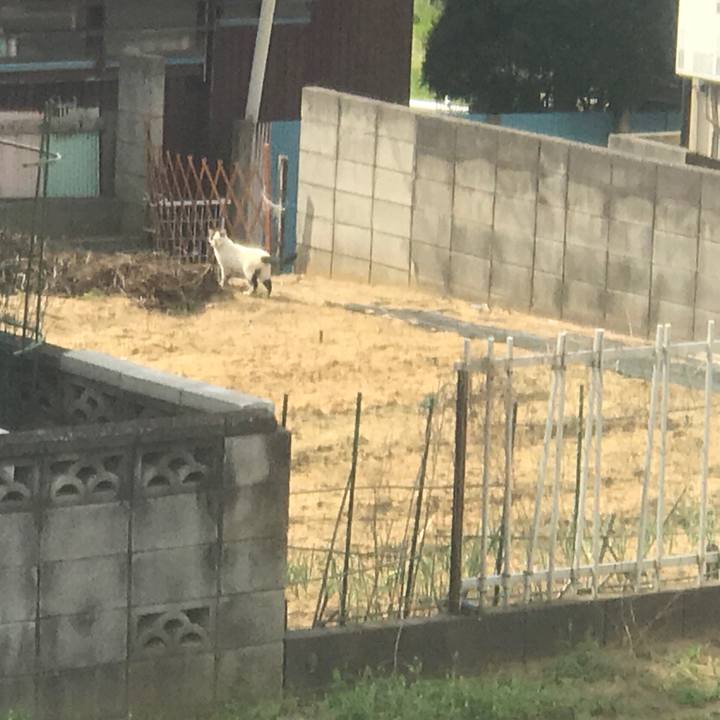 476629ef 7488 4150 8021 f4dd8ae4e31c