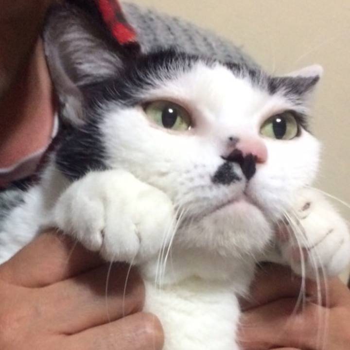 47663912 9e38 4aac 8429 54f46919f62e