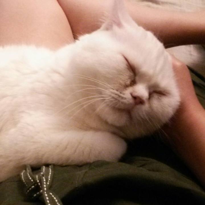 47668d76 b04c 4cd8 a4bc 4cc892a4dfaf