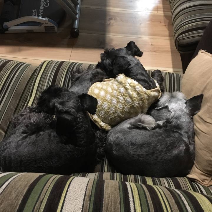 4766e7de b319 46d2 ab95 0d5e67862fc0