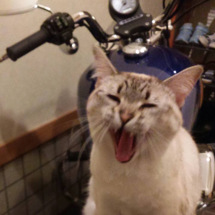 4767793a 56b5 41bb b536 5b2bf593dfb6