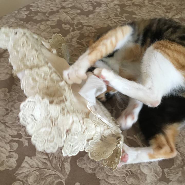 476784b2 b0fb 4abc 9d6b 10f7d76f8a2d