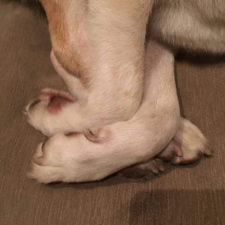 47679bd8 3465 4e2e 8602 e6dbc061c307