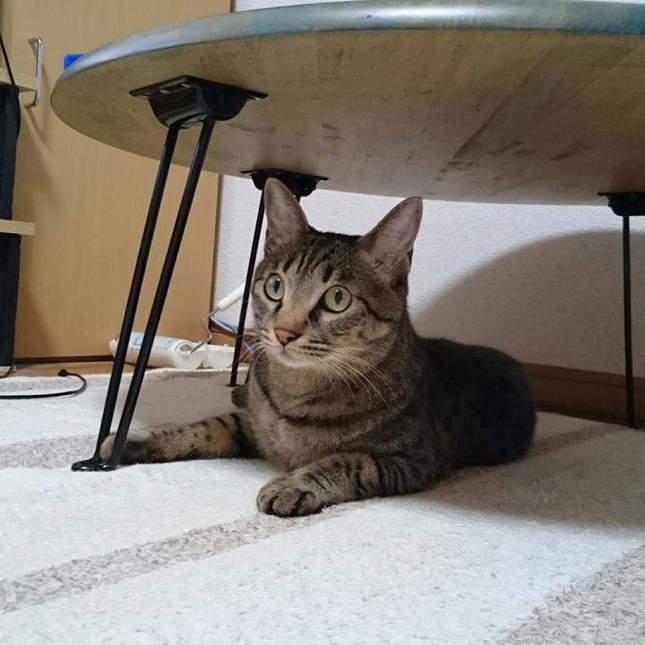 476800c4 823d 40ec b45c 805f017c8461