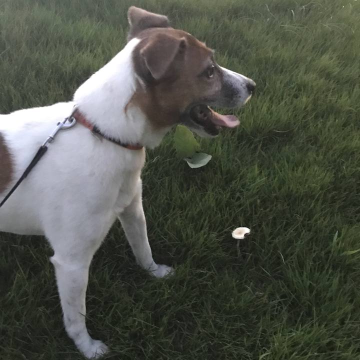 47680661 df31 4581 a779 ad21cc439156