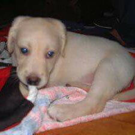 47684ff4 e946 4faf ada9 c187ed35afb3