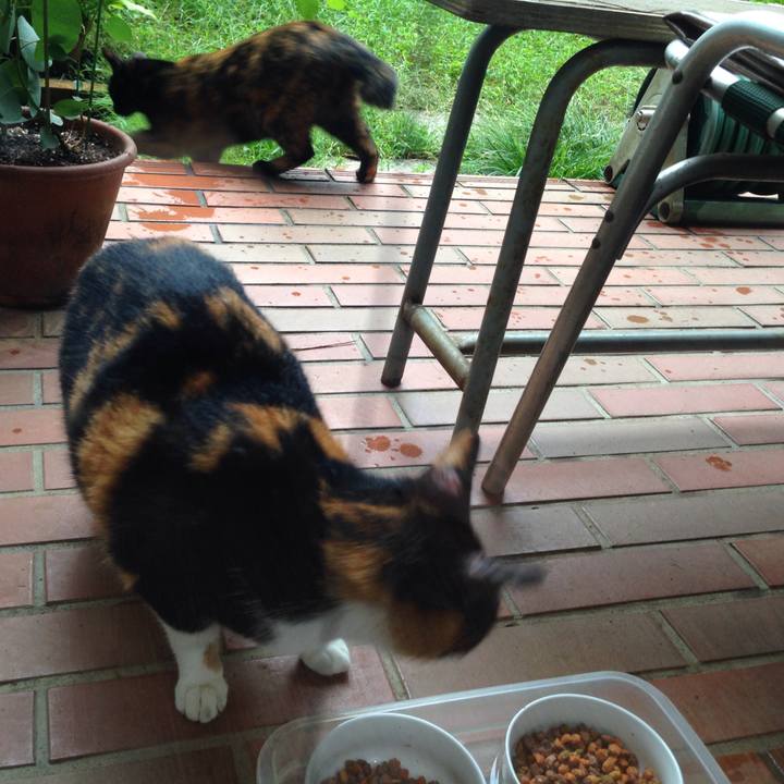 47685495 46d7 4896 bed1 e2b5e3c86081