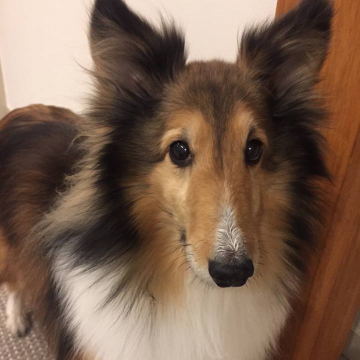 4768b884 dffc 41ab b56e ec5d2be984fe