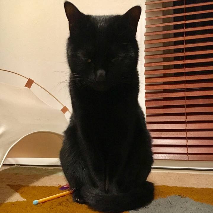 4768d7b9 19a5 401b 98ce 98e18035290e