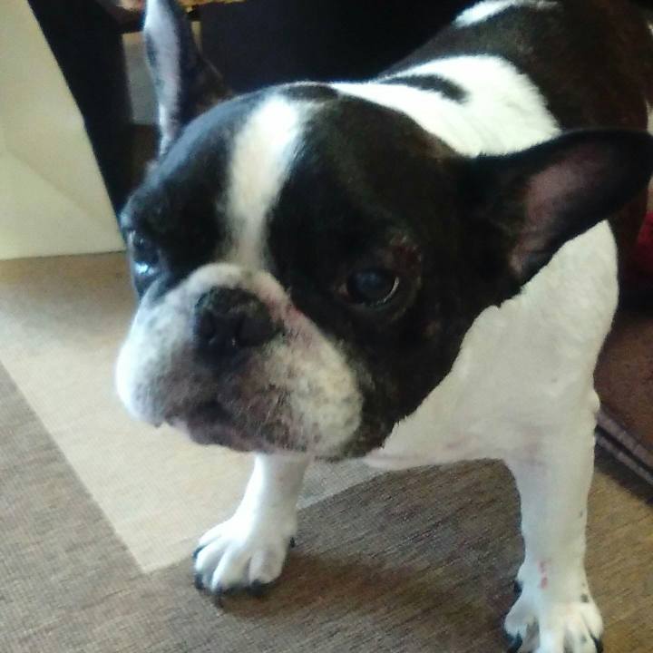 4769a97a b02c 4bdd 8dbd 4ed035354e88