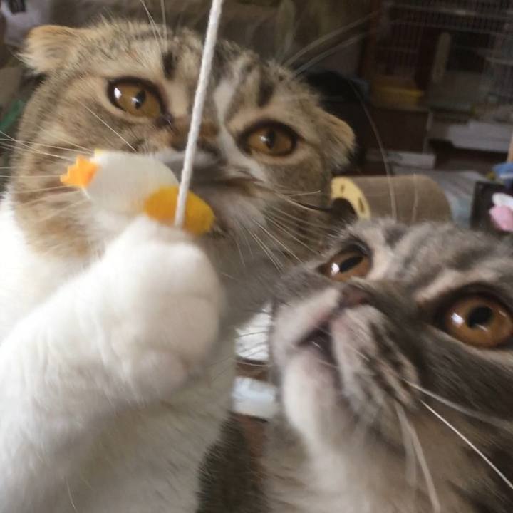 476a9038 2b0b 44f0 bc50 ae6616325a4d