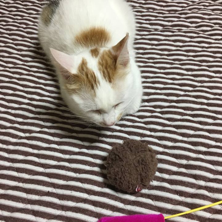 476acadf aa58 4fcb 82af 755b9adb9dab