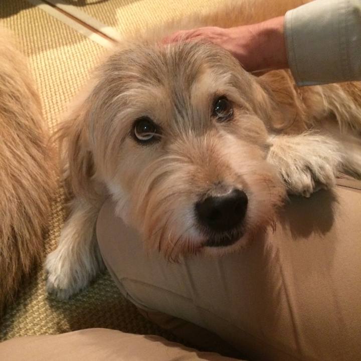 476b2e28 b2f0 4a59 93cd 6017b43e597c