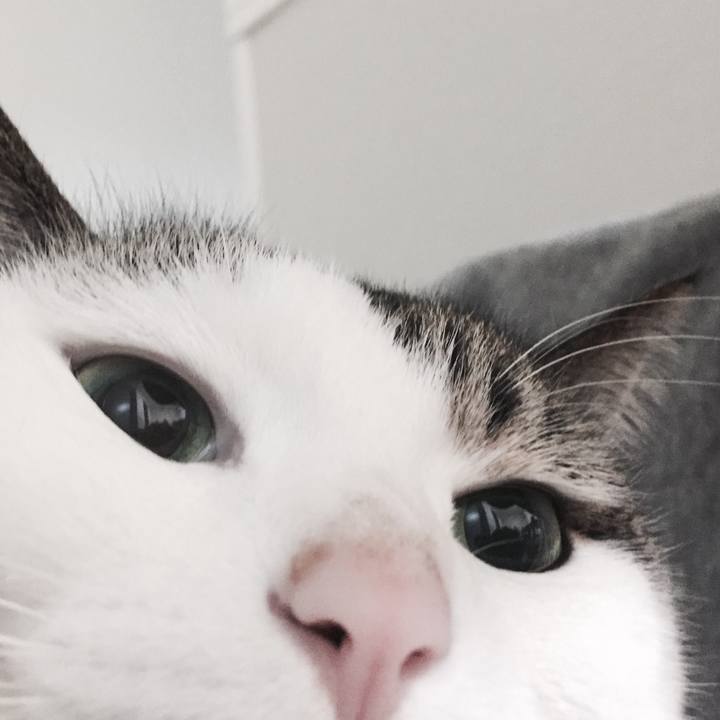 476b44e3 6924 4b82 8e3f 0c53ee7345b4