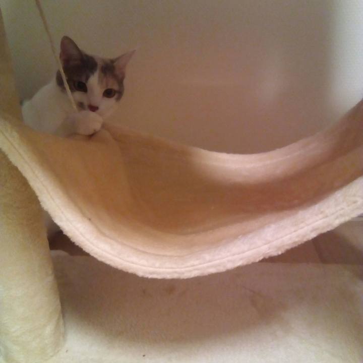 476baaf0 81d9 4ef1 bd5e ef886f8c081f